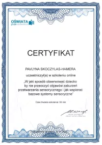 certyfikat W jaki sposób obserwować dziecko by nie przeoczyć objawów zaburzeń przetwarzania sensorycznego