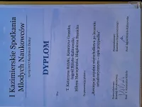 dyplom Resorpcja zapalna wierzchołkowa po leczeniu ortodontycznym