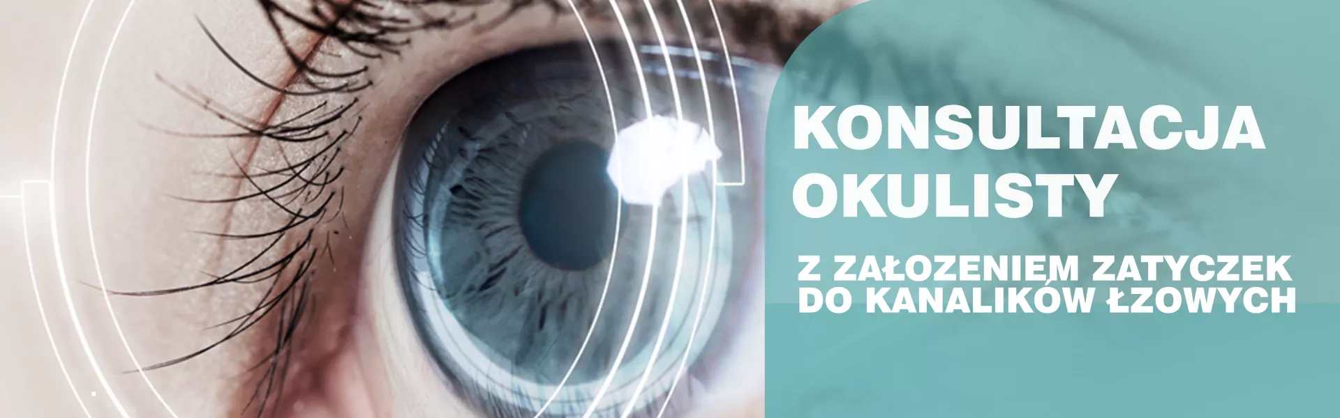 treść prezentowana graficznie